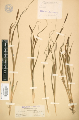 LE 01001298