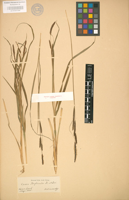 LE 01001299
