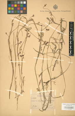 LE 01001349