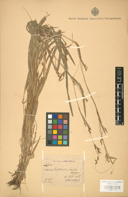 LE 01001350