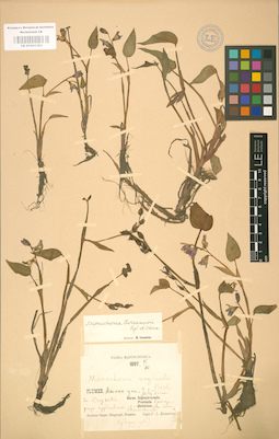 LE 01001353