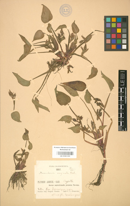 LE 01001355
