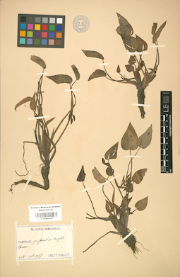 LE 01001357