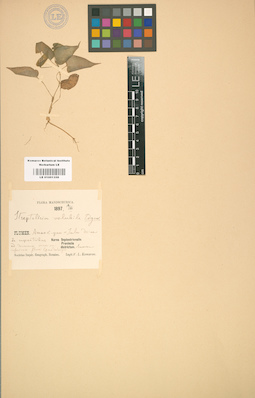 LE 01001358