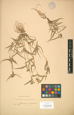 LE 01001364
