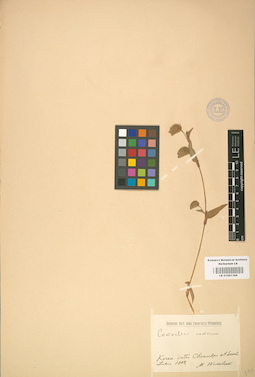 LE 01001368