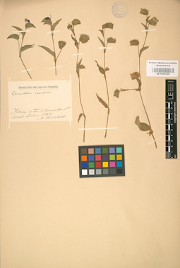 LE 01001369