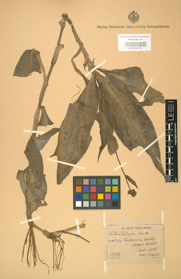 LE 01001374