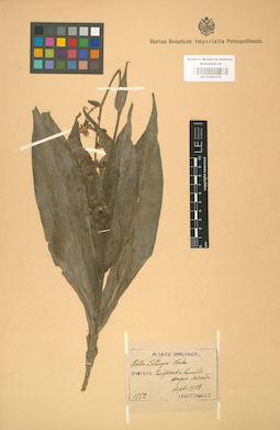 LE 01001375