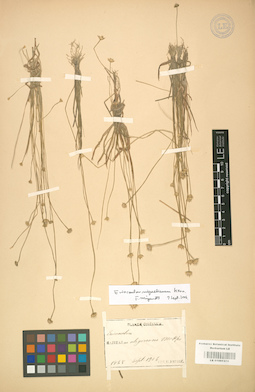LE 01001376