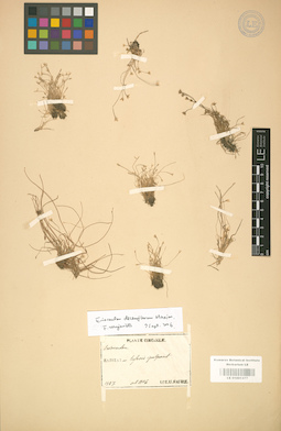 LE 01001377