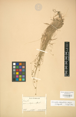 LE 01001378