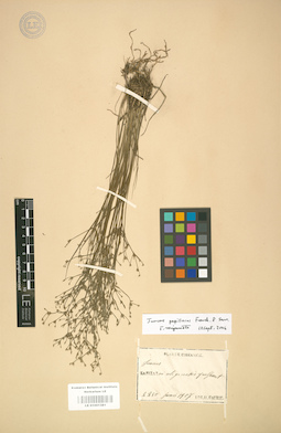 LE 01001381
