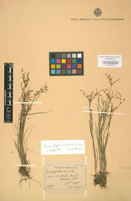 LE 01001383