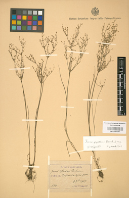 LE 01001385