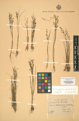 LE 01001386