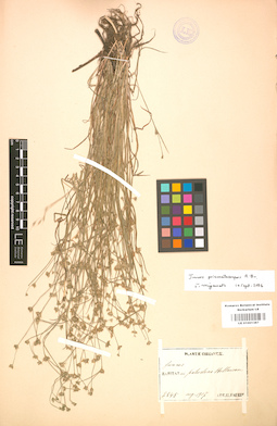 LE 01001387