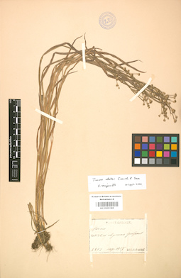 LE 01001388