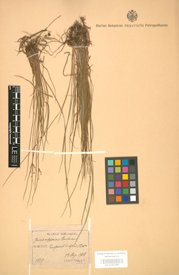 LE 01001389