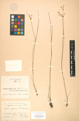 LE 01001391