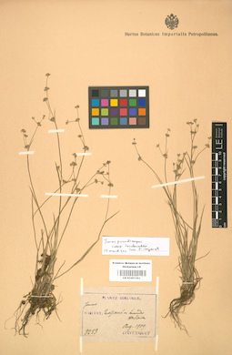 LE 01001392