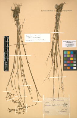 LE 01001394