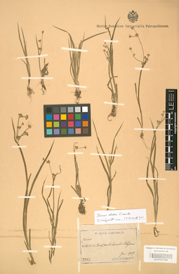 LE 01001395