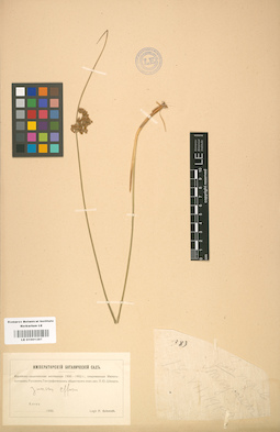 LE 01001397