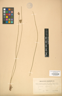 LE 01001398