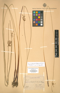 LE 01001399