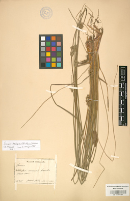 LE 01001401