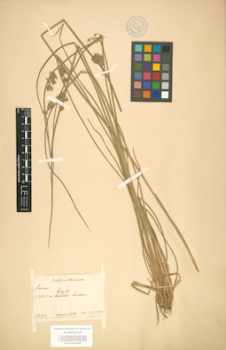 LE 01001402
