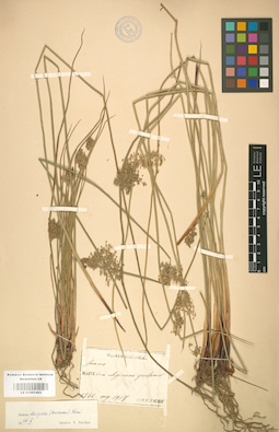LE 01001403