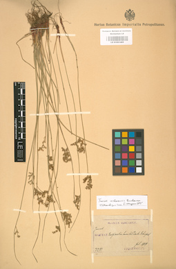 LE 01001405