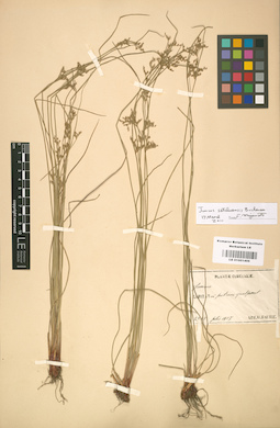 LE 01001406