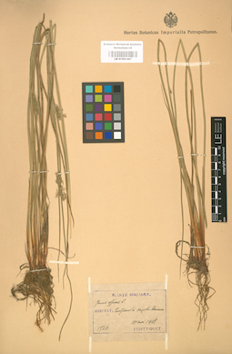 LE 01001407