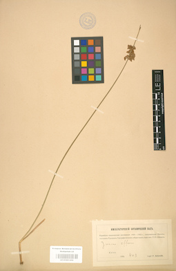 LE 01001408