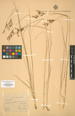 LE 01001413