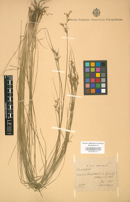 LE 01001414