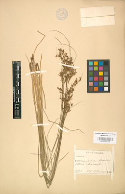LE 01001416