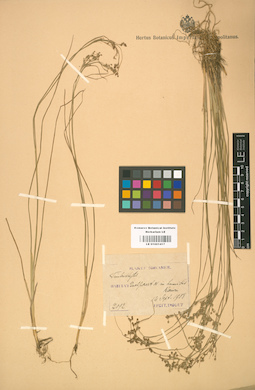 LE 01001417