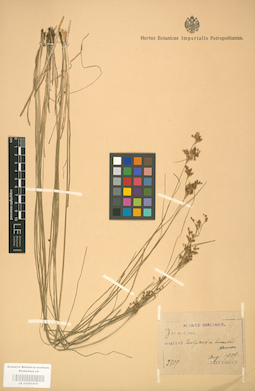 LE 01001419