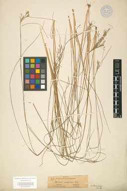 LE 01001420