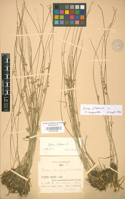LE 01001422