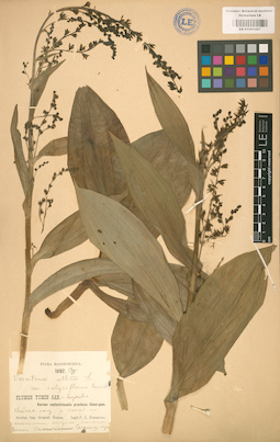 LE 01001427