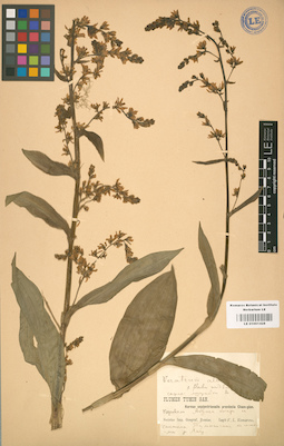 LE 01001428