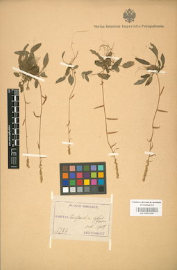 LE 01001430