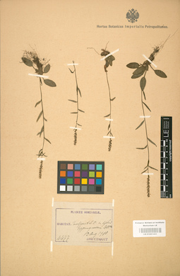 LE 01001431