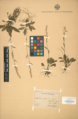 LE 01001432