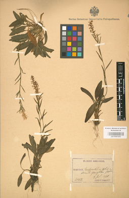 LE 01001434